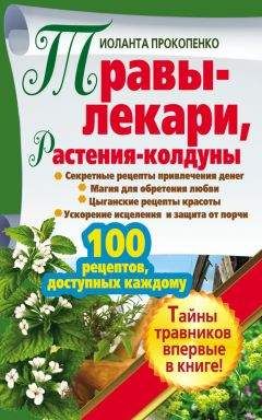 Ольга Климова - Живица Земная. Советы и рецепты от известного травника