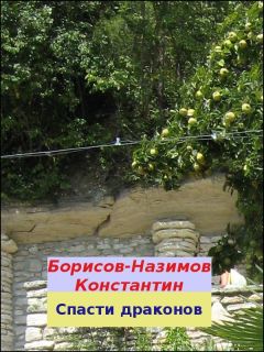 Никита Елисеев - Судьба драконов в послевоенной галактике