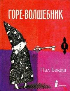 Игорь Жуков - Волшебник и сын, или Триумф беспечного школяра