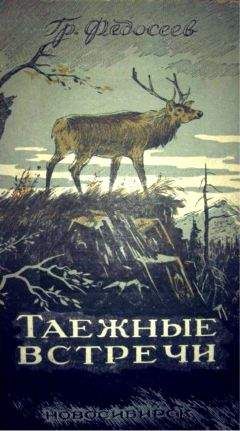 Владимир Бабенко - Лягушка на стене