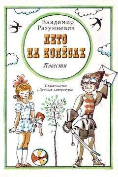 Владимир Разумневич - Два сапога — пара