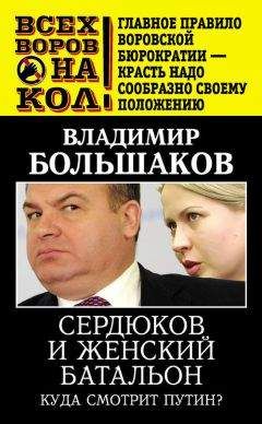 Владимир Большаков - Путин навсегда. Кому это надо и к чему приведет?