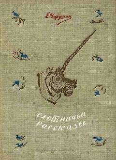 Петр Заводчиков - Девичья команда. Невыдуманные рассказы