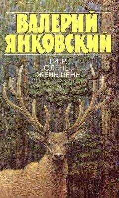 Валерий Янковский - Тигр, олень, женьшень