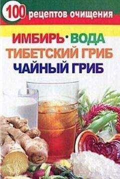Валерия Янис - 100 рецептов очищения. Имбирь, вода, тибетский гриб, чайный гриб
