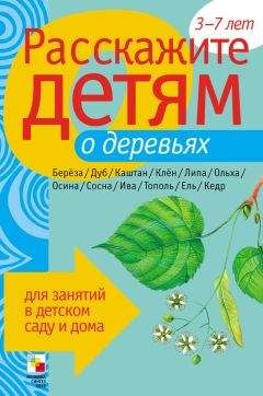 Э. Емельянова - Расскажите детям о бытовых приборах