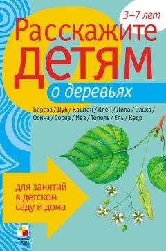 Э. Емельянова - Расскажите детям о достопримечательностях Москвы