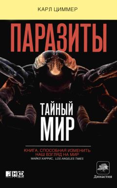 Адриан Вебстер - Мозг: краткое руководство. Все, что вам нужно знать для повышения эффективности и снижения стресса