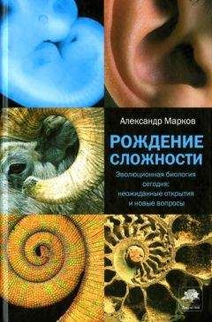 Александр Марков - Эволюция кооперации и альтруизма: от бактерий до человека