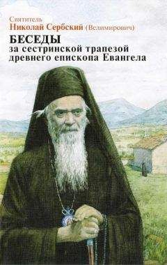 Николай Сербский - Земля недостижимая. Сквозь тюремное окно