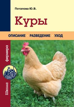 Юрий Харчук - Разведение домашней птицы на ферме и приусадебном участке