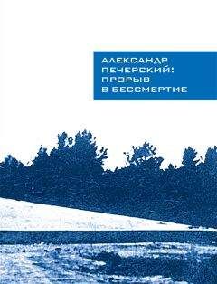 Илья Васильев - Александр Печерский: Прорыв в бессмертие