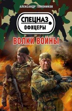 Александр Тамоников - Один к десяти