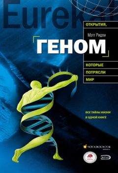 Ричард Докинз - Слепой часовщик. Как эволюция доказывает отсутствие замысла во Вселенной