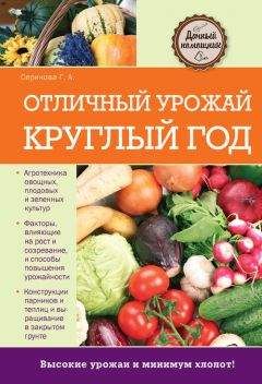 Галина Кизима - Крепкая рассада – богатый урожай. Все секреты опытного огородника
