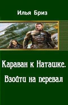 Виктория Селезнева - Режим безвизового въезда. Обратно.[СИ]