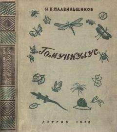 Вадим Мужчинкин - Морские львы и котики