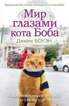 Джеймс Боуэн - Подарок от кота Боба. Как уличный кот помог человеку полюбить Рождество