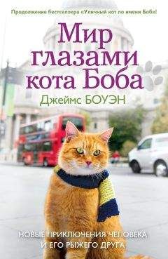 Сьюзен Сван - Что рассказал мне Казанова