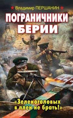 Николай Бахрошин - Ярость берсерков. Сожги их, черный огонь!