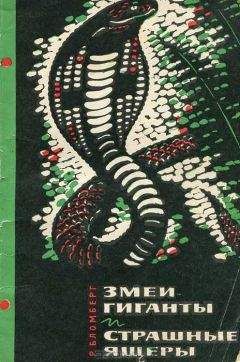 А. Кист - Австралия и острова Тихого океана