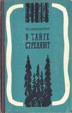 Исай Калашников - Повести