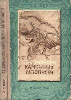 Дж. Д. Макдугалл - Краткая история планеты Земля: горы, животные, огонь и лед