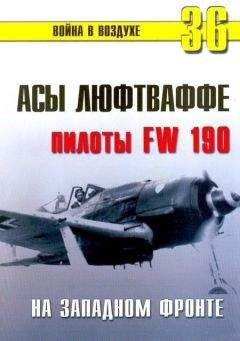 С. Иванов - Fw 189 «летающий глаз» вермахта