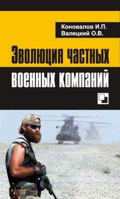 Владимир Снегирев - Вторжение. Неизвестные страницы необъявленной войны