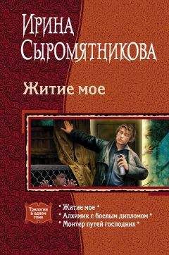 Блаж. Стридонский - ЖИТИЕ ПРЕПОДОБНОГО ОТЦА НАШЕГО ИЛЛАРИОНА ВЕЛИКОГО