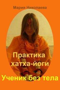 Мария Николаева - Практика хатха-йоги. Ученик перед стеной
