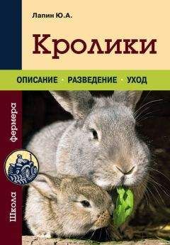 Иван Балашов - Мясошкурковые кролики. Прибыльное разведение