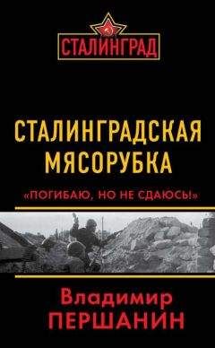 Владимир Першанин - Бронекатера Сталинграда. Волга в огне