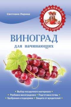 Бригитта Шульте - Езда на кончиках пальцев или управление лошадью в контакте с ней