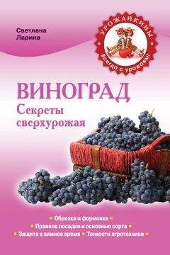 Виктор Жвакин - Обрезка винограда. Проверенные способы формировки укрывного винограда в средней полосе России