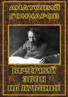 Анатолий Гончаров - Санкционный смотритель