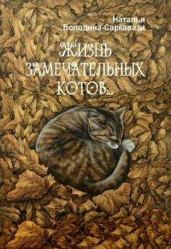 Тимур Максютов - Крошка