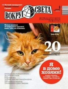 Роман Беленогов - Автоматы, стоящие на вооружении в армиях разных стран мира