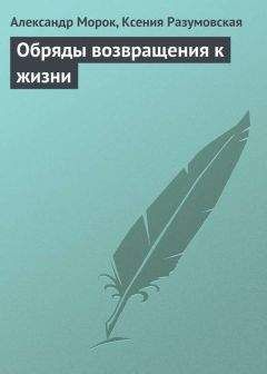 протоиерей Олег Стеняев - Воздушные мытарства, или Экзамен, которого нельзя избежать