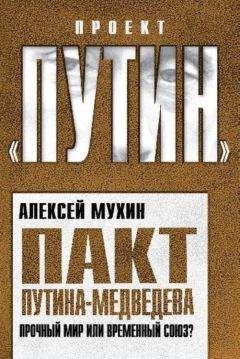 Андрей Пионтковский - Искушение Владимира Путина