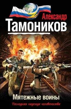 Александр Тамоников - Силы быстрого развертывания