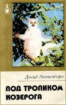 Андрей Кашкаров - Бывший горожанин в деревне. Полезные советы и готовые решения