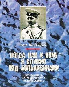 Степан Тимошенко - Воспоминания