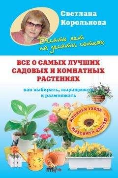 Сергей Кашин - Умное цветоводство круглый год на даче и дома