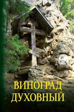 Тихон Задонский - Собрание сочинений. Том V
