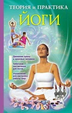 Мария Николаева - Практика хатха-йоги. Ученик перед стеной