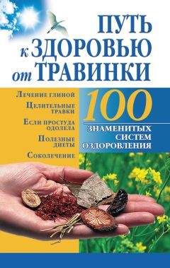 Людмила Михкельсоо - Bерни свое здоровье сам – устрани накопившиеся в организме нарушения