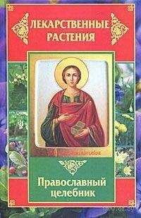 Вера Соловьева - Баня и сауна для здоровья и красоты