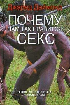 Йелто Дрент - Вагина. История заблуждений