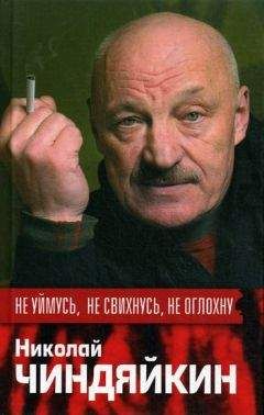 Николай Шубкин - Повседневная жизнь старой русской гимназии